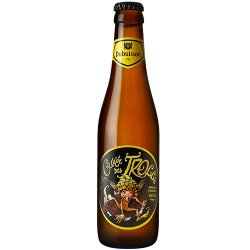 Dubuisson Cuvée des Trolls 25cl - Belgian Beer Traders