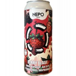 Brouwerij LOST BERRY BLAST