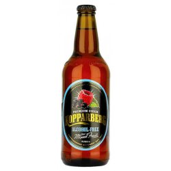 Kopparberg Alcohol Free Mixed Fruit 500ml - Beers of Europe