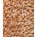 Malta De Trigo Naheland x 1 Kg Malta De Trigo Naheland x 1 Kg