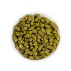 Lúpulo Sultana Hopsteiner x 1 Kg - The Craft Drinks Lab