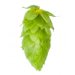 Lúpulo Magnum Hopsteiner x 100 grs 