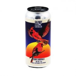 Galway Bay Brewery - Young Cardinals - Bierloods22