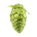 Lúpulo Bravo Hopsteiner x 5 Kg 