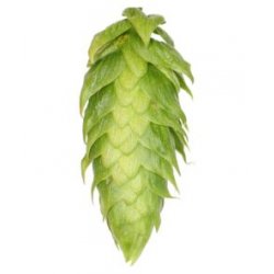 Lúpulo Sterling Hopsteiner x 1 Kg - The Craft Drinks Lab