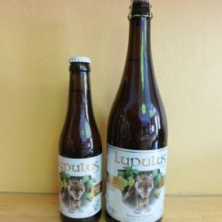 Lupulus Blonde - Bier Circus