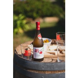 Kupela Sagardoa - Cidre basque Sagardoa Vin De Pomme Bio Kupela Sagardoa - Cidre basque Sagardoa Vin De Pomme Bio