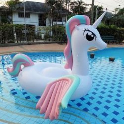 Pegasus Pony Float - Bali On Demand