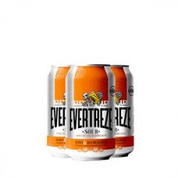 Pack 3 Everbrew Evertreze Sour 350ML VL - CervejaBox