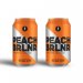 Brussels Beer Project PEACH BRLNR Can 33cl x 2 