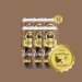 PACK- VÊNETA CACAU E CARVALHO - Robust Porter - 6 latas 473ml - Cervejaria Araucária 