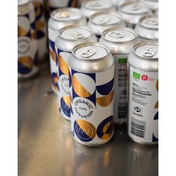 Gamma Brewing Company Organic Hefeweizen