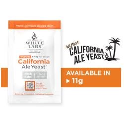 White Labs sèche - WLP001 California Ale 11g - Rolling Beers