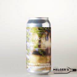 Ārpus  Mango x Pineapple x Blueberry Smoothie Sour Ale 44cl Blik - Melgers