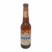  Andina Dorada 300ML 
