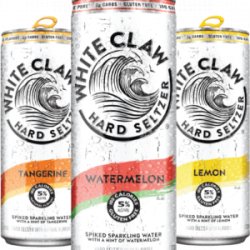 White Claw Variety Pack 2 (watermelon, lemon, tangerine, mango) 2412oz cans - Beverages2u