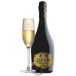 DeuS Brut des Flandres 11,5° - 34L - BelgianShop