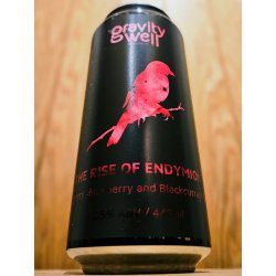 Gravity Well Brewing Co The Rise of Endymion
