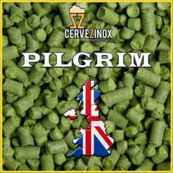 Pilgrim (pellet) - Cervezinox