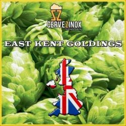 East Kent Goldings (flor) - Cervezinox