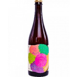 Jester King Brewery Rare Corals - Half Time