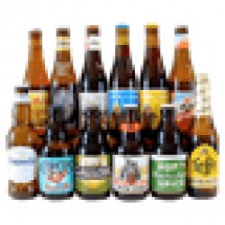 Best of Belgium Mixed 12 Pack - Beer Cartel
