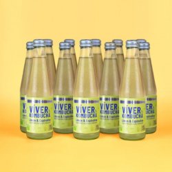 Viver KOMBUCHA LIMÓN & ESPIRULINA - Viver Kombucha