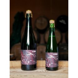 Crossover Blendery Nimbo 2023 Crossover Blendery Nimbo 2023