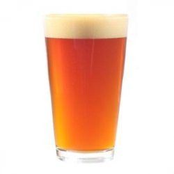 Kit Todo Grano Citra Pale Ale(19 Lts) - Cerveza Casera