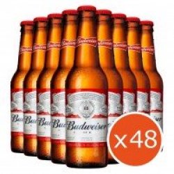 Budweiser Pack Envío Gratis 48 Botellines - Yo pongo el hielo