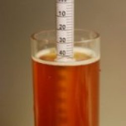 Densímetro de Alta Precisión (Hidrómetro). Escala 1.000 a 1.100 - Brewmasters México