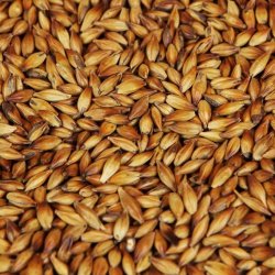 Weyermann Caramunich Type 3 - 1Kg - BrewCraft