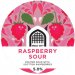 VAULT CITY BREWING Raspberry Sour 5.0% 
