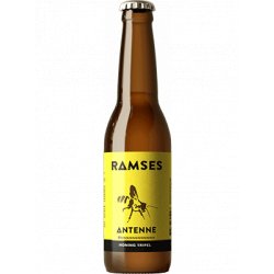 Ramses Bier Antenne - Beer Dudes