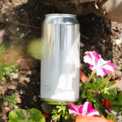 Track Brewing Company Stelvio Track Brewing Company Stelvio