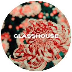 Antho - Glasshouse - Candid Beer