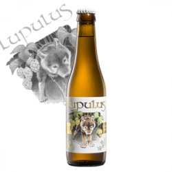 Lupulus  Blonde Tripel - Bierwinkel de Verwachting