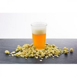 Kit de cerveza TicoBirra IPA (Extracto) - TicoBirra