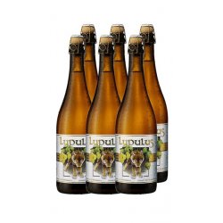 Strong Belgian Ale - Lupulus 75cl - Cassa da 6 Bott. - Bottle of Italy