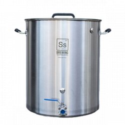 Olla SS BrewTech 30 gal - TicoBirra