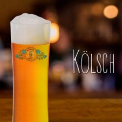 Kit Insumos Completo Kölsch - Pinar Bier