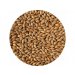 Crisp Extra Pale Malt (extra světlý slad) 