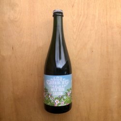 Burning Sky - Wild Rose Saison 6.5% (750ml) - Beer Zoo