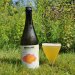 Slowburn Brewing Co-op Seedling ● BA Mixed Fermentation Sour 