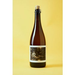 Popihn Sauvages IMMÉMORÉ (2024) Popihn Sauvages IMMÉMORÉ (2024)