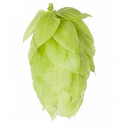 Lúpulo Saaz Hopsteiner x 100 grs - The Craft Drinks Lab