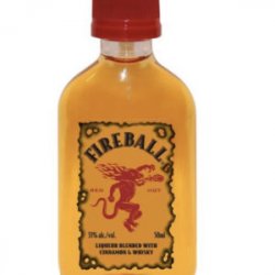 Fireball Whiskey 50 ml-single bottle - Beverages2u