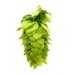 Lúpulo Erebus Hopsteiner x 5 Kg 