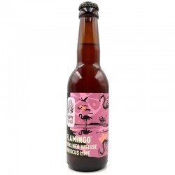 Hoppy Road Flamingo Berliner Weisse - 33 cl - Drinks Explorer