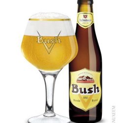 BUSH Triple 10,5% 33 cl - Trappist.dk - Skjold Burne